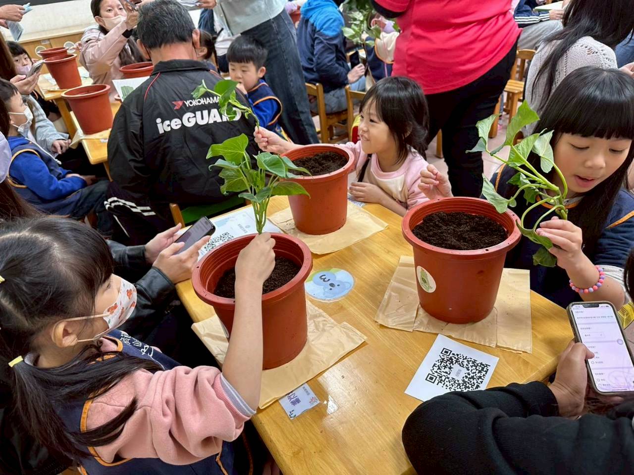 地瓜食農-龍峰國小附設幼兒園-把地瓜種回來