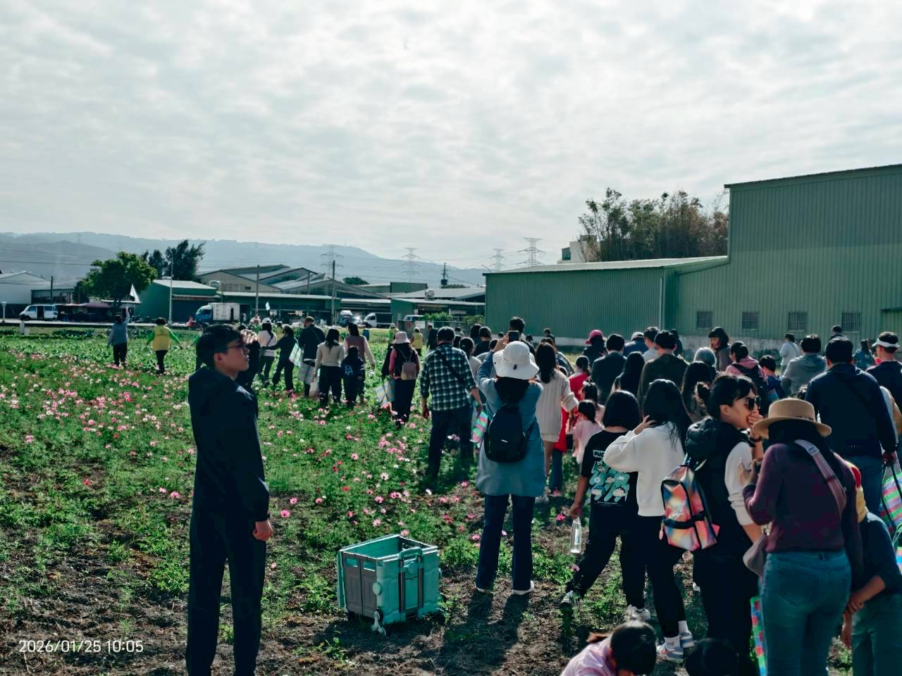 115年食農教育創新整合計畫-食農小教室-拔蘿蔔