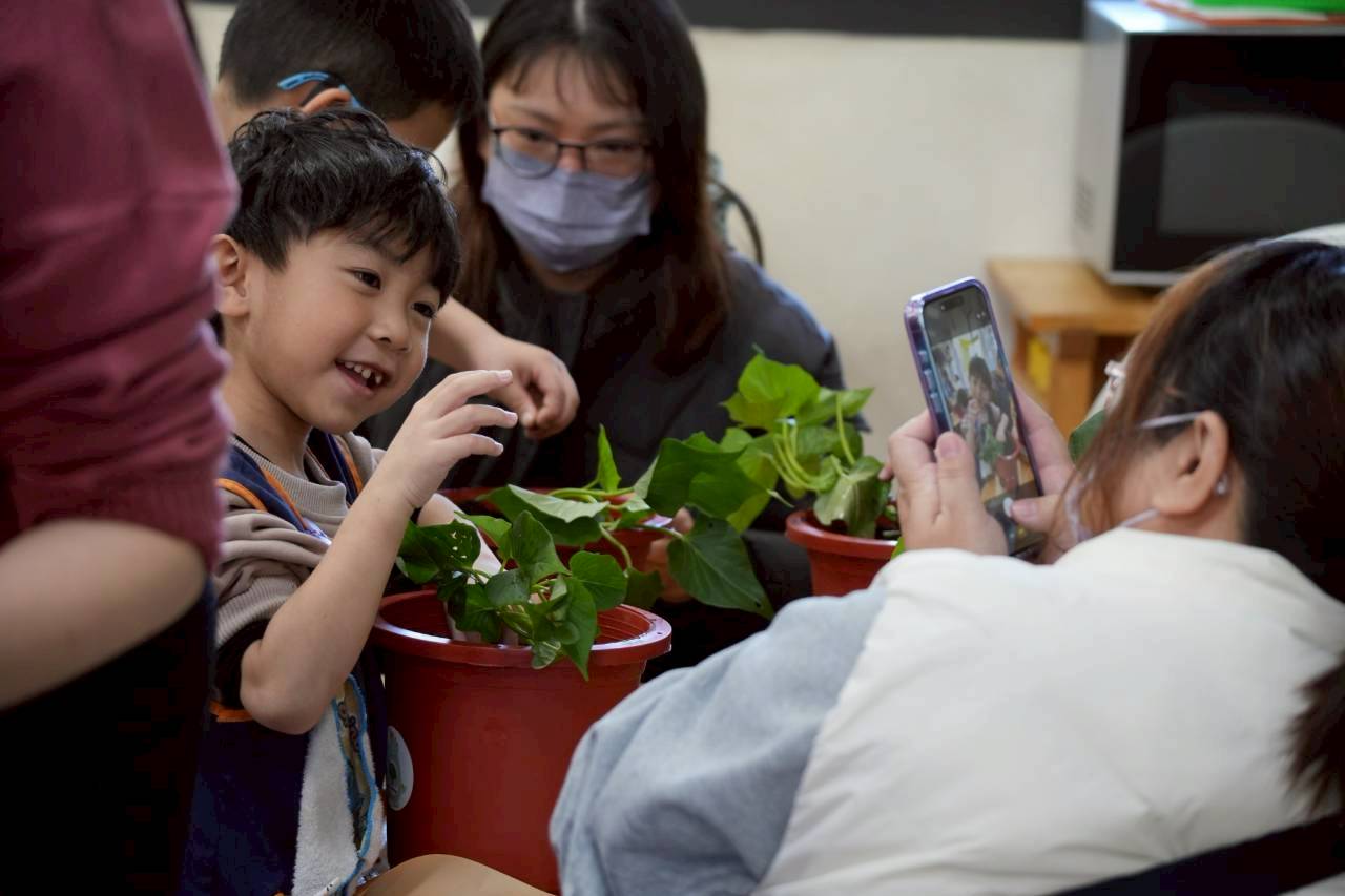 地瓜食農-龍峰國小附設幼兒園-把地瓜種回來