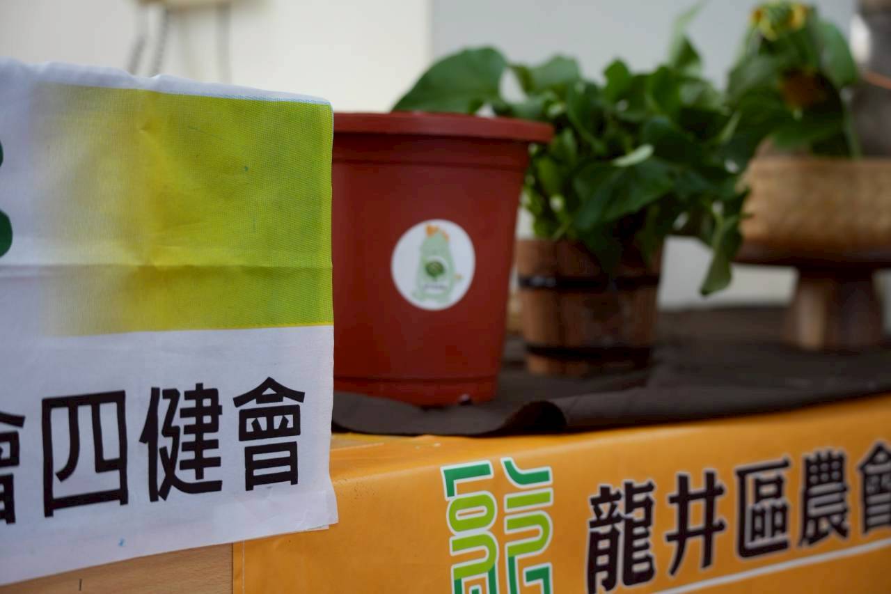 地瓜食農-龍峰國小附設幼兒園-把地瓜種回來